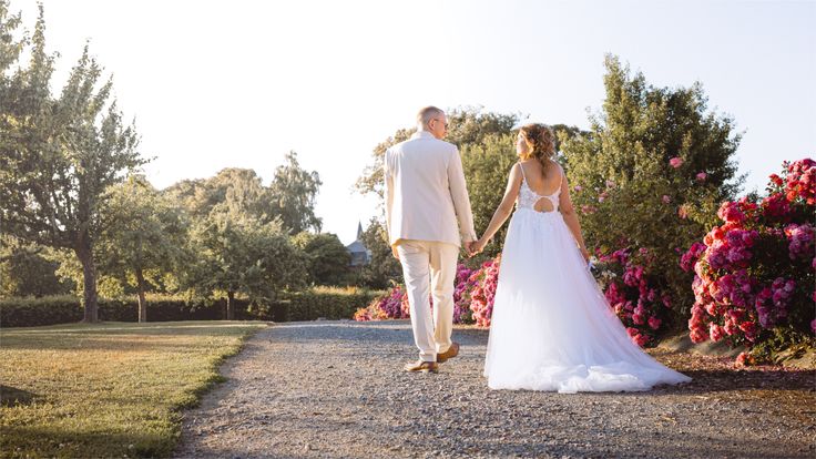 caroussel background